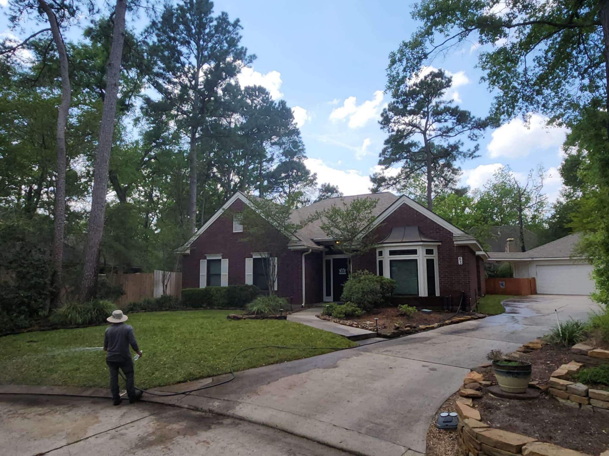 José Hernández Tree Service crew performing professional tree trimming in Humble TX