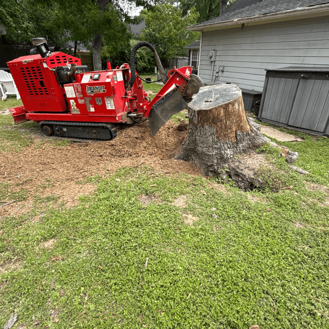 Stump Grinding in Humble TX — José Hernández Tree Service